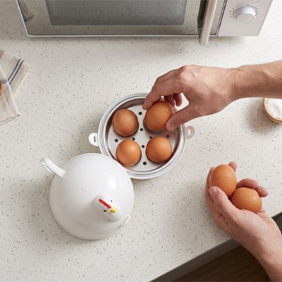 Cuiseur oeuf